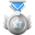 medalla de plata (1)