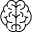 organo del cuerpo
